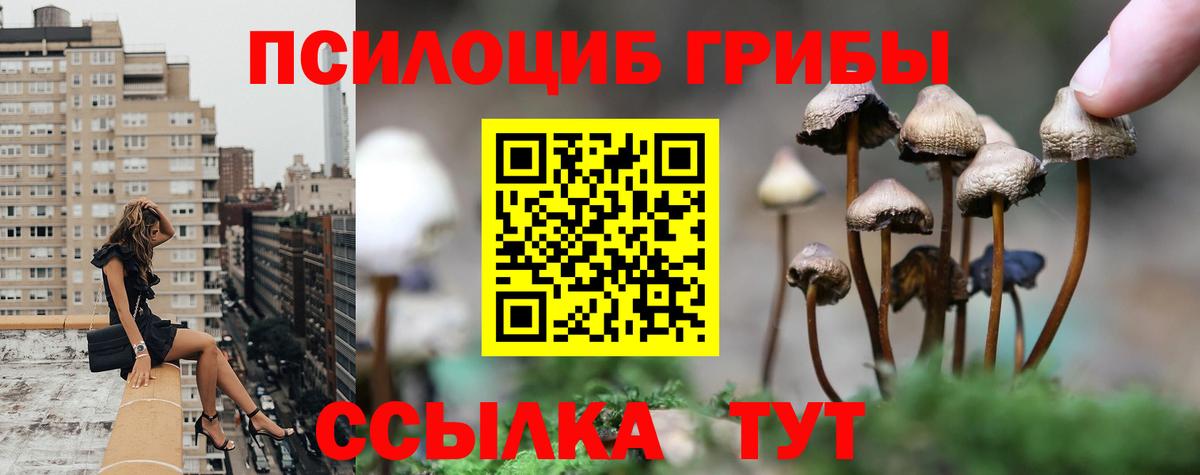 Галлюциногенные грибы ЛСД Амурск